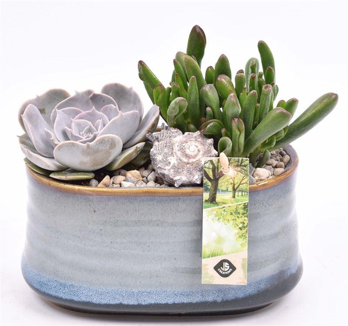 <h4>Keramiek ovaal blauw/grijs 19x12cm</h4>