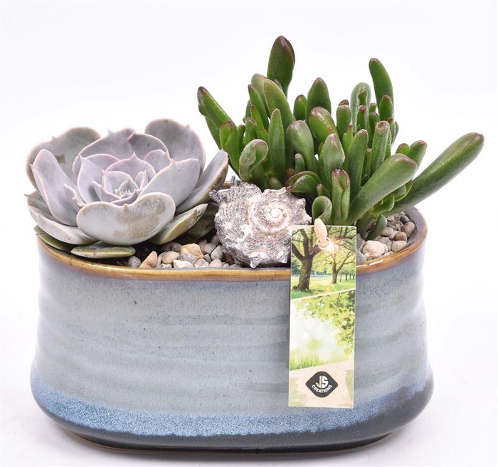 <h4>Keramiek ovaal blauw/grijs 19x12cm</h4>