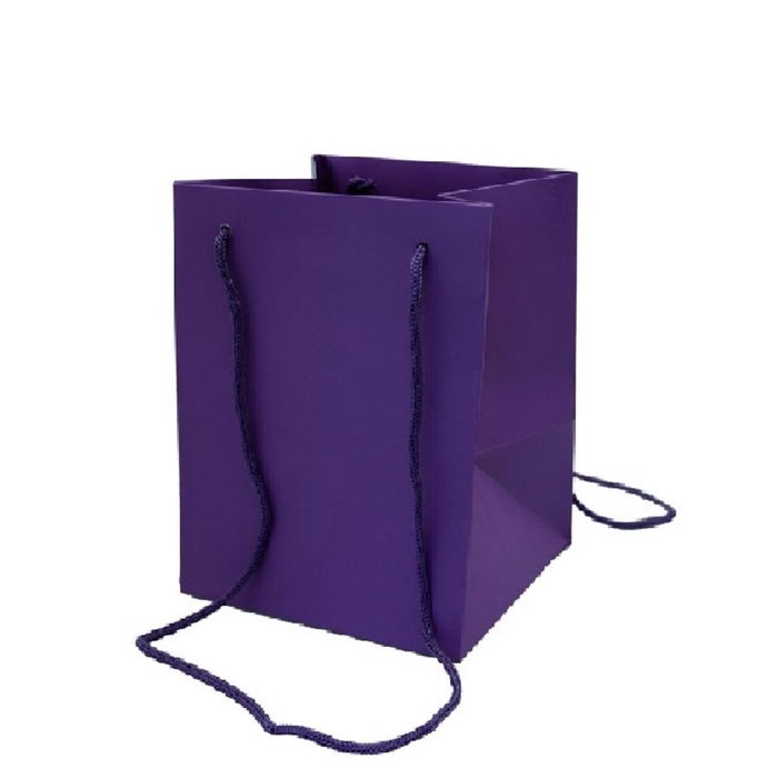 <h4>Tassen Olympic 25*18*18cm</h4>