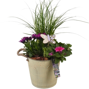 PTPP6811 Arrangement Patio in metalen bak