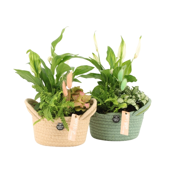 <h4>11519: Soft sculpture arrangement</h4>