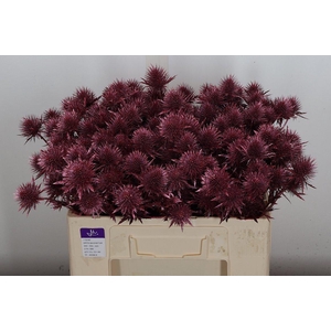 Eryn Ov Klb Metal Rood