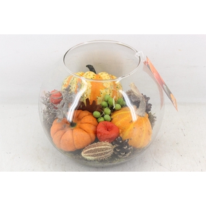 arr4 Sierfruit MB - Bolglas XL