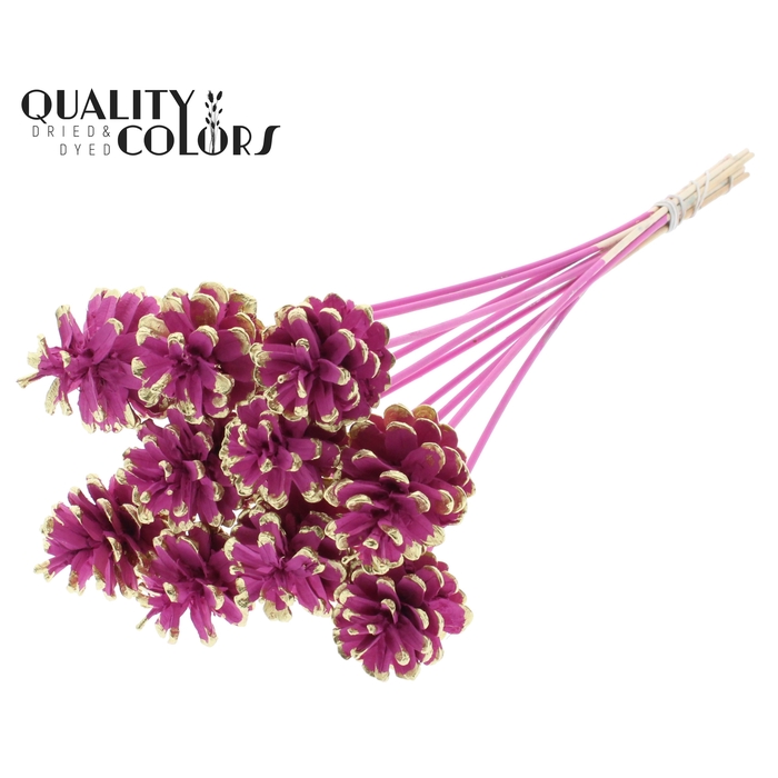 <h4>Pine cone 5-7cm on stem Cerise + Gold Tipped</h4>