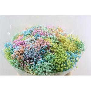 Gyps Pa. Rainbow Pastel