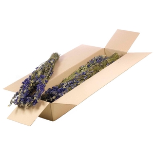Delphinium Sb Natural Blue