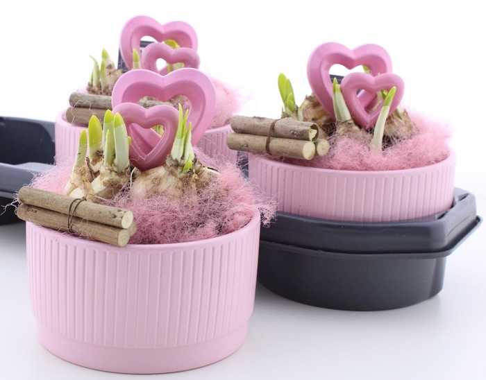 <h4>ARR N TETE A TETE</h4>