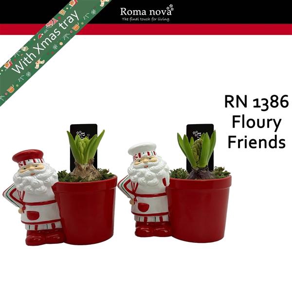 <h4>Arrangementen Hyacinthus 6%</h4>