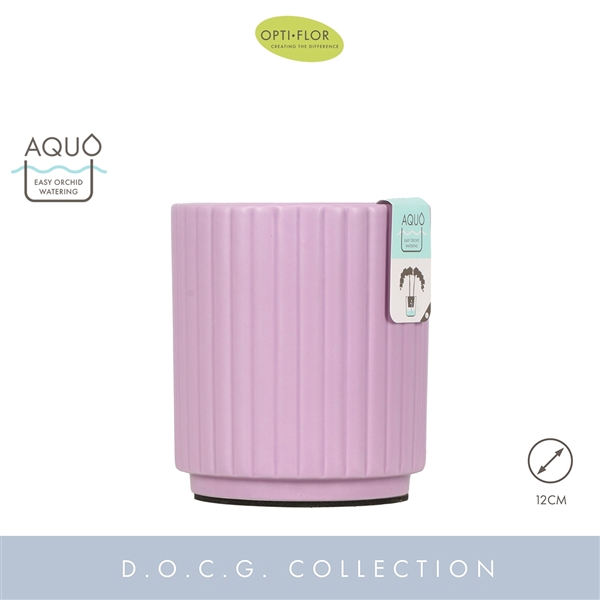 <h4>Molise Lilac 12 cm Aquo</h4>