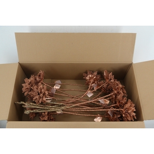 Stick Dahlia Sunshine Copper