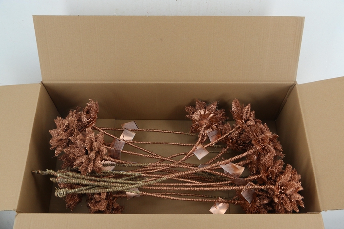 <h4>Stick Dahlia Sunshine Copper</h4>