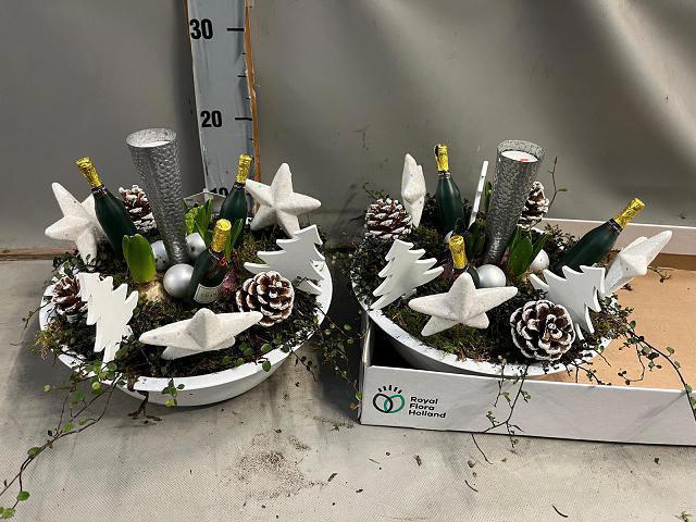 <h4>ARR BOL KNOLGEWAS</h4>