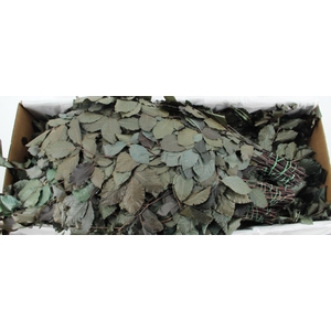 PF BEECH LEAFS GREEN BS 150GR