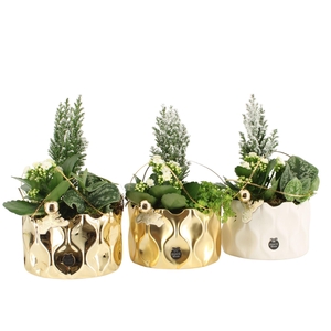 61627: X-mas arrangement