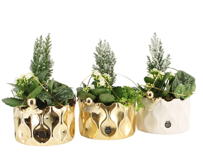 <h4>61627: X-mas arrangement</h4>