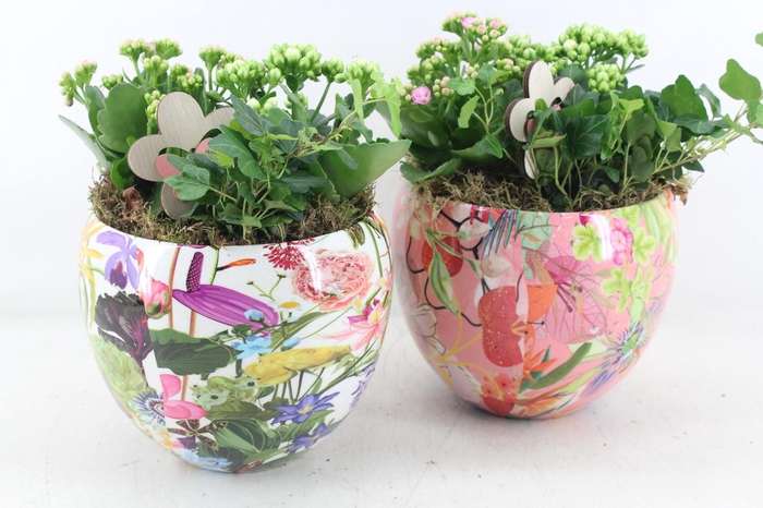 <h4>arr2 MB - Ker. flower bolpot mix 344/4</h4>