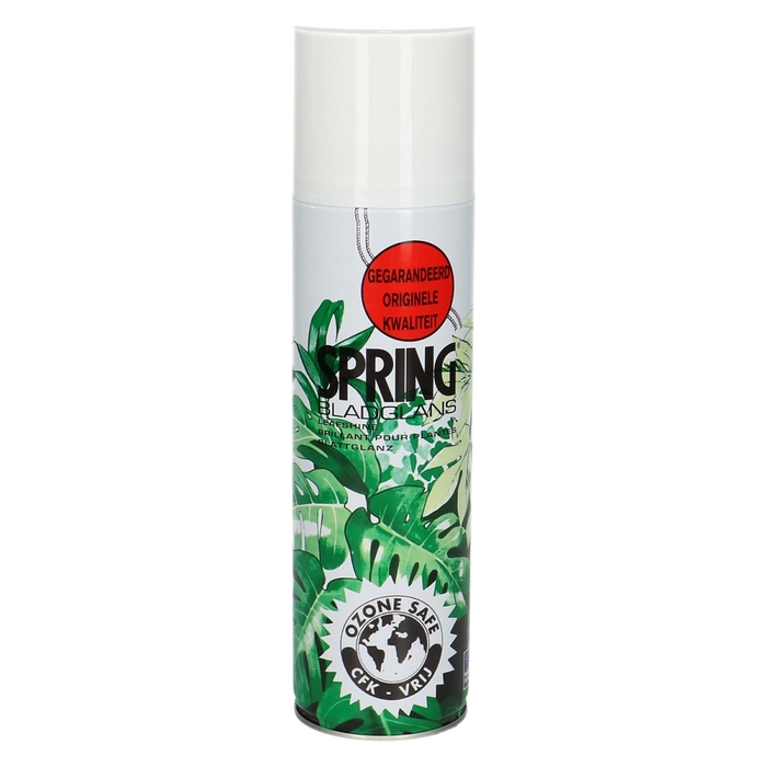 <h4>Verzorging Spring Bladglans 36oz 250ml</h4>