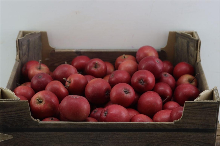 <h4>Sier Appels Red Ex 5kg P Wdn Box</h4>