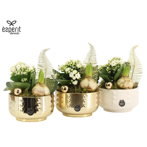 <h4>Arrangementen Kerst 6%</h4>