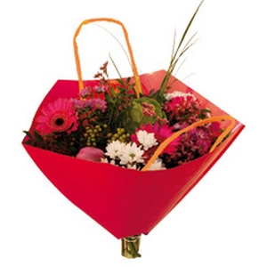 Hoes 35x35cm boekettas Bro-lux Fond rood + hengsel 400/ds