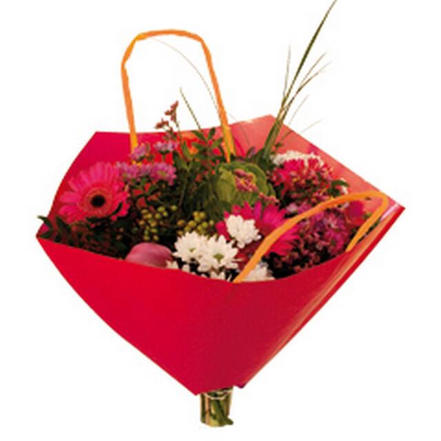 <h4>Hoes 35x35cm boekettas Bro-lux Fond rood + hengsel 400/ds</h4>