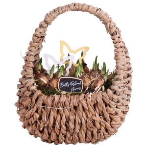 Bulbs Arr. Narcis Egg Shaped Handle Basket Ø27cm