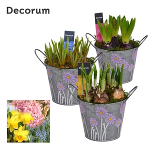 Bollenmix Spring Bucket Maxi HL18543B