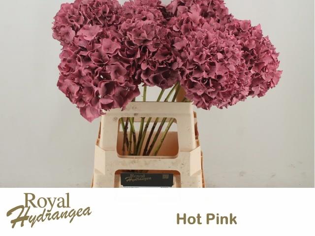 <h4>HYDR OV KLB H%</h4>