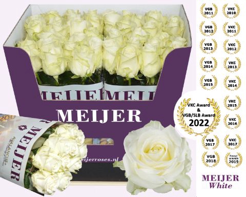 <h4>R Gr Avalanche White Meijer 70 cm</h4>