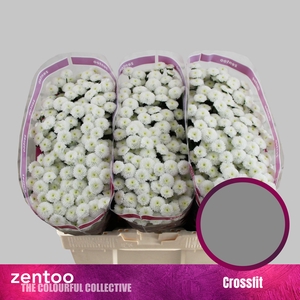 CHR S CROSSFIT