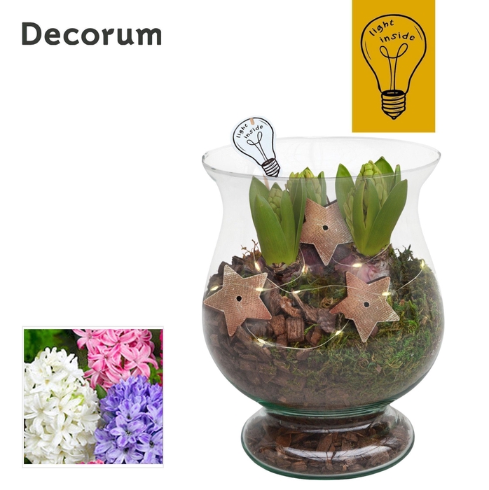 <h4>Hyacint Bora HL44102 [CHRISTMAS LIGHT]</h4>