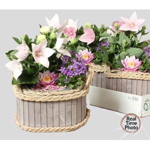 ARR TUINPLANTEN