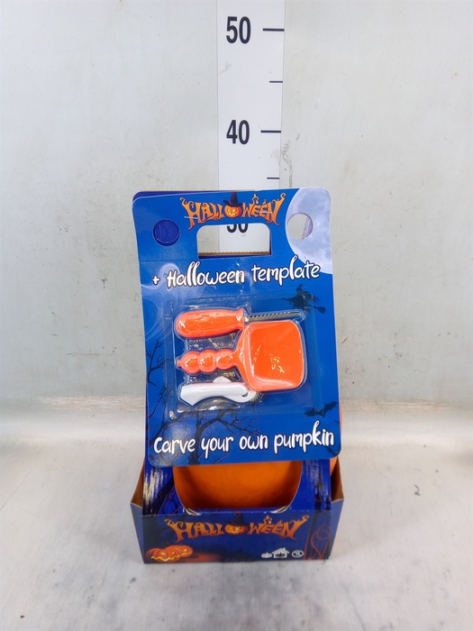 <h4>Cucurbita max. 'Halloween'</h4>