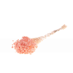 Hill Flower 100gr Pink