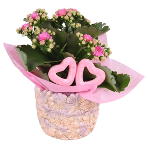 Mothersday Arr. Indoor Ceramic Pot with Flower Deco Ø11cm 1PP