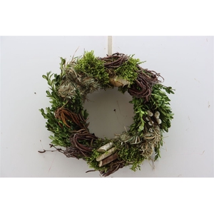 Wr Easter Hooi Birch 30cm