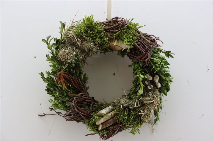 <h4>Wr Easter Hooi Birch 30cm</h4>