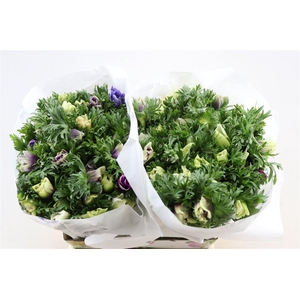 Anem Marianne Pastel