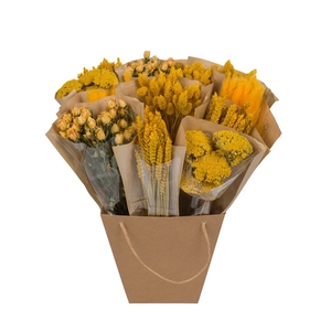 Droogbloemen-Dried Mono Mix 50cm-Yellow