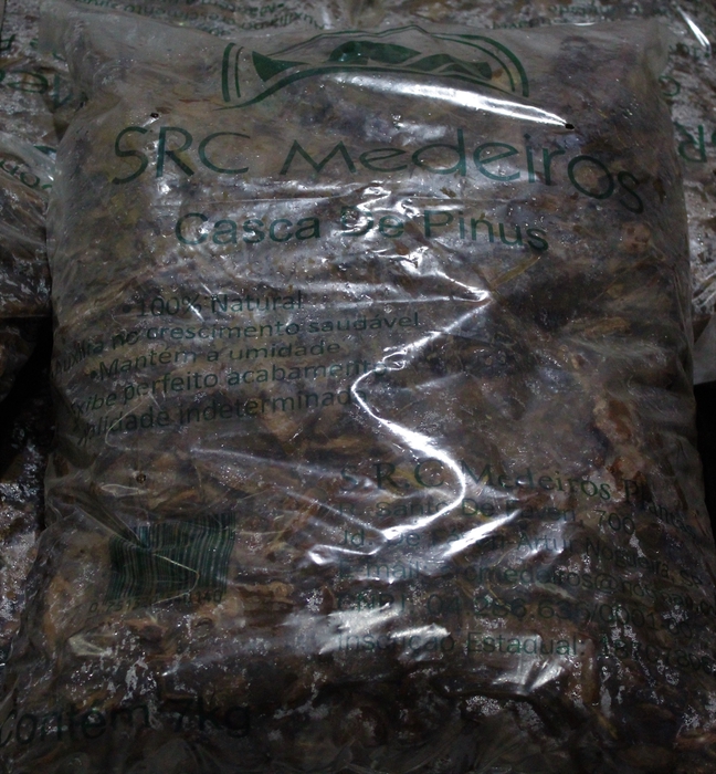 <h4>CASCA DE PINUS 7KG MEDIA</h4>