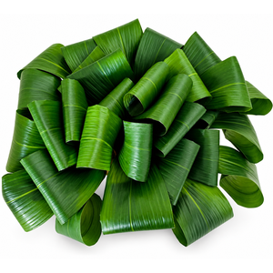 Aspidistra ( folded ) per stem (Min 1 plt)(33x)