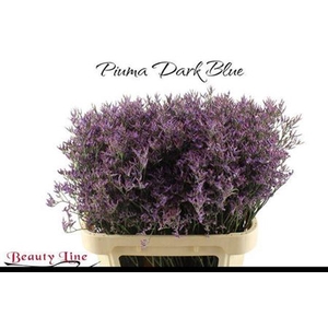 Lim Piuma Dark Blue