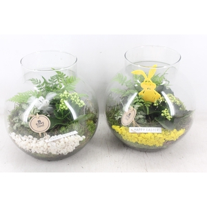 arr2 PL - Glas bol nek XL - geel/wit