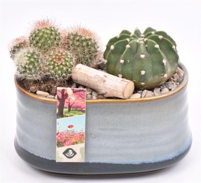 <h4>Keramiek ovaal blauw/grijs 19x12cm</h4>