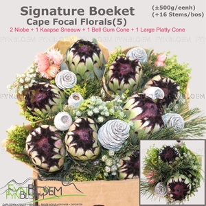 PROTEA PER BOS