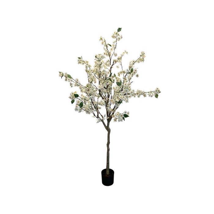 <h4>Plant Blossom Tree H165</h4>