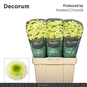 Chr S Maverick White