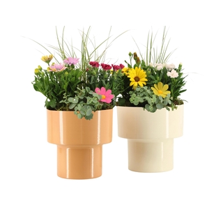 31818: Outdoor summer arrangement