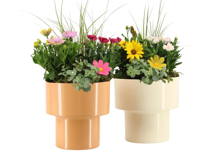 <h4>31818: Outdoor summer arrangement</h4>