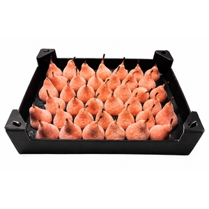 Waxpeer Gl Oranje
